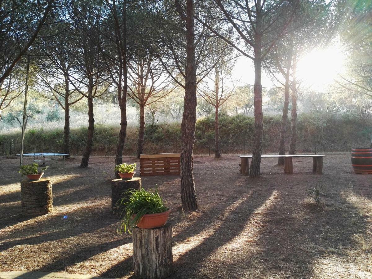 Dolce Vita Campiglia Marittima Exterior photo